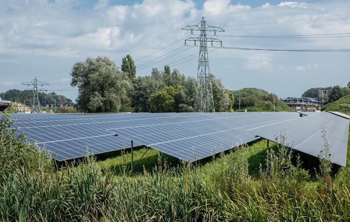 solar panels on ground