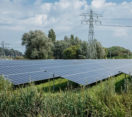 Sistema de paneles solares con soporte de montaje solar en tierra en latitudes bajas